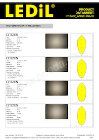 F13402_ANGELINA-W Datasheet Page 9