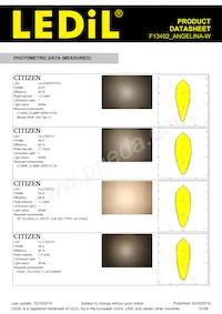 F13402_ANGELINA-W Datasheet Pagina 10