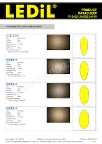 F13402_ANGELINA-W Datasheet Page 11