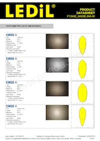 F13402_ANGELINA-W Datasheet Page 12