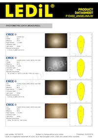 F13402_ANGELINA-W Datasheet Pagina 13