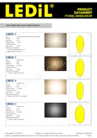 F13402_ANGELINA-W Datasheet Pagina 14