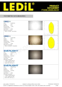 F13402_ANGELINA-W Datasheet Page 15