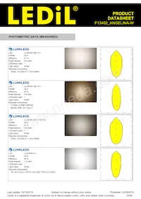 F13402_ANGELINA-W Datasheet Pagina 18