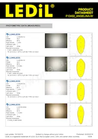 F13402_ANGELINA-W Datasheet Page 19