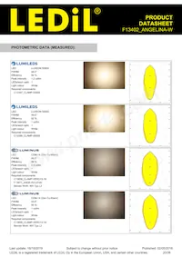 F13402_ANGELINA-W Datasheet Pagina 20