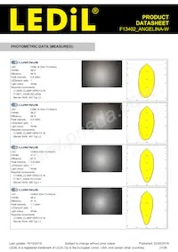 F13402_ANGELINA-W Datasheet Pagina 21