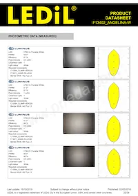 F13402_ANGELINA-W Datasheet Page 22