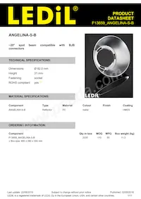 F13659_ANGELINA-S-B數據表 封面