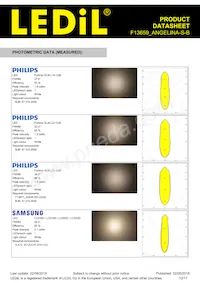 F13659_ANGELINA-S-B數據表 頁面 12