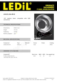 F13660_ANGELINA-M-B Datasheet Cover