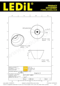 F13662_ANGELA-S-B Datasheet Page 2