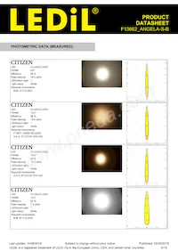 F13662_ANGELA-S-B Datasheet Page 5