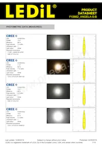 F13662_ANGELA-S-B Datasheet Page 7