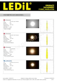 F13662_ANGELA-S-B Datasheet Pagina 8