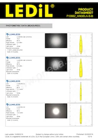 F13662_ANGELA-S-B Datasheet Page 10