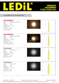 F13662_ANGELA-S-B Datasheet Page 15