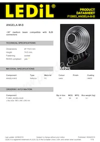 F13663_ANGELA-M-B Datasheet Cover