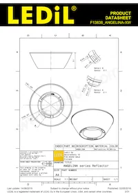 F13838_ANGELINA-XW Datasheet Pagina 2