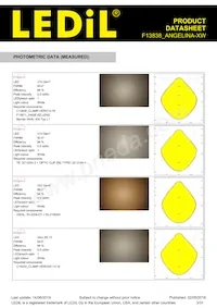 F13838_ANGELINA-XW Datasheet Pagina 3