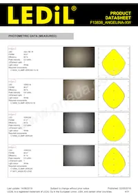 F13838_ANGELINA-XW Datasheet Page 4