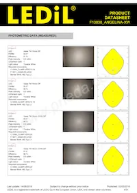 F13838_ANGELINA-XW Datasheet Pagina 5