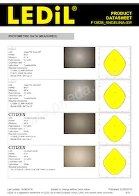 F13838_ANGELINA-XW Datasheet Pagina 6