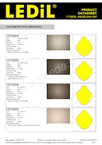 F13838_ANGELINA-XW Datasheet Pagina 8