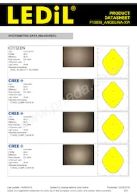 F13838_ANGELINA-XW Datasheet Pagina 9