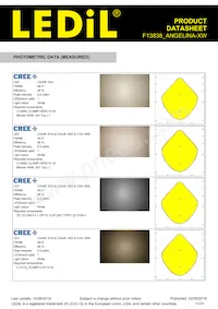 F13838_ANGELINA-XW Datasheet Page 11