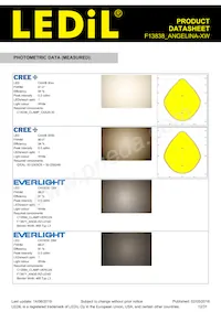 F13838_ANGELINA-XW Datasheet Page 12