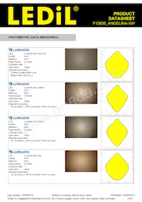 F13838_ANGELINA-XW Datasheet Page 13