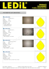 F13838_ANGELINA-XW Datasheet Pagina 14