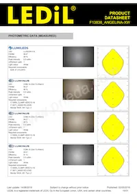 F13838_ANGELINA-XW Datasheet Page 15