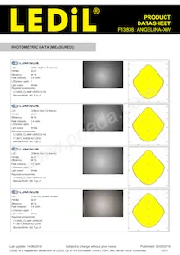 F13838_ANGELINA-XW Datasheet Pagina 16