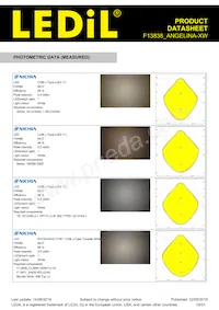 F13838_ANGELINA-XW Datasheet Pagina 19