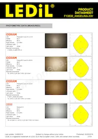 F13838_ANGELINA-XW Datasheet Page 21