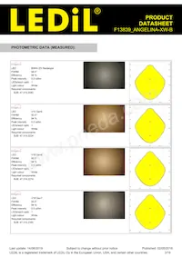 F13839_ANGELINA-XW-B Datasheet Page 3