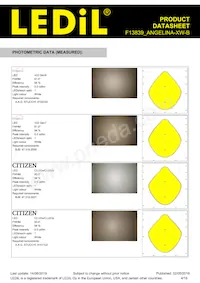 F13839_ANGELINA-XW-B Datasheet Page 4