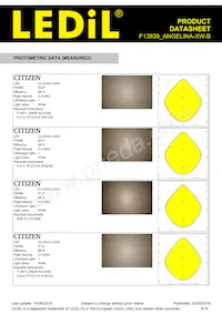 F13839_ANGELINA-XW-B Datasheet Page 5