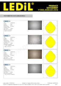 F13839_ANGELINA-XW-B Datasheet Page 6