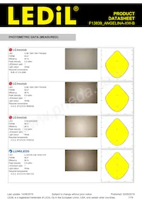 F13839_ANGELINA-XW-B Datasheet Page 7