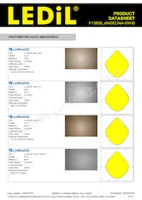 F13839_ANGELINA-XW-B Datasheet Page 8