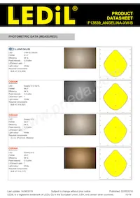 F13839_ANGELINA-XW-B Datasheet Pagina 10