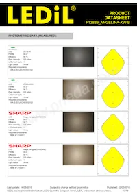 F13839_ANGELINA-XW-B Datasheet Pagina 13