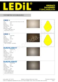 F13840_ANGELA-XW Datasheet Page 12