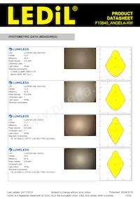 F13840_ANGELA-XW Datasheet Page 13