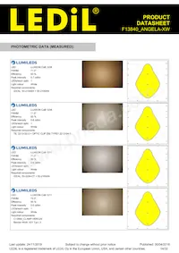 F13840_ANGELA-XW Datasheet Page 14