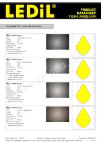 F13840_ANGELA-XW Datasheet Page 17