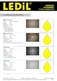 F13840_ANGELA-XW Datasheet Page 18